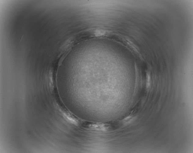 X0000070370524200606121238