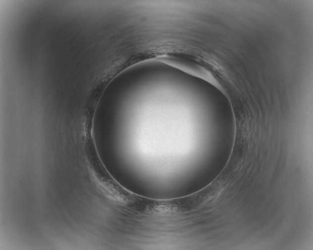 X0000070370546200606121238