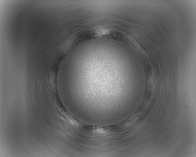 X0000070370565200606121238