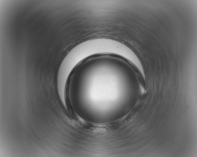 X0000070370572200606121238
