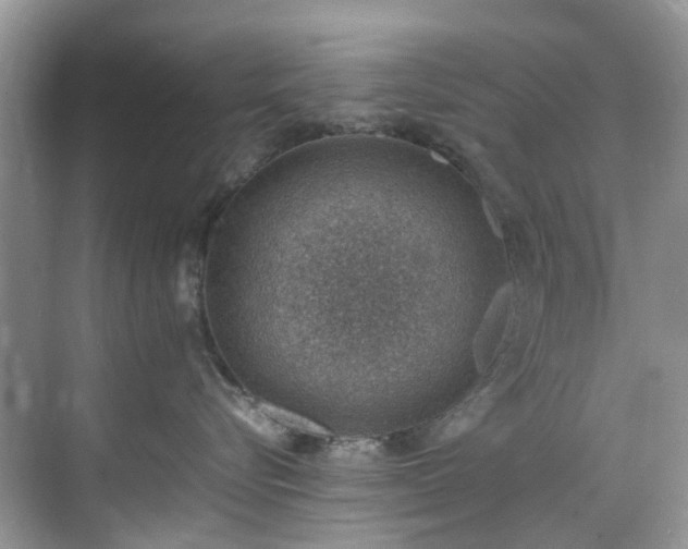 X0000070370576200606121238
