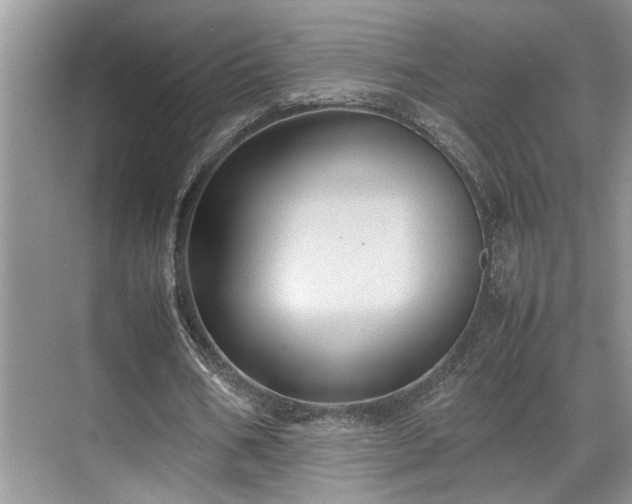 X0000070370578200606121237