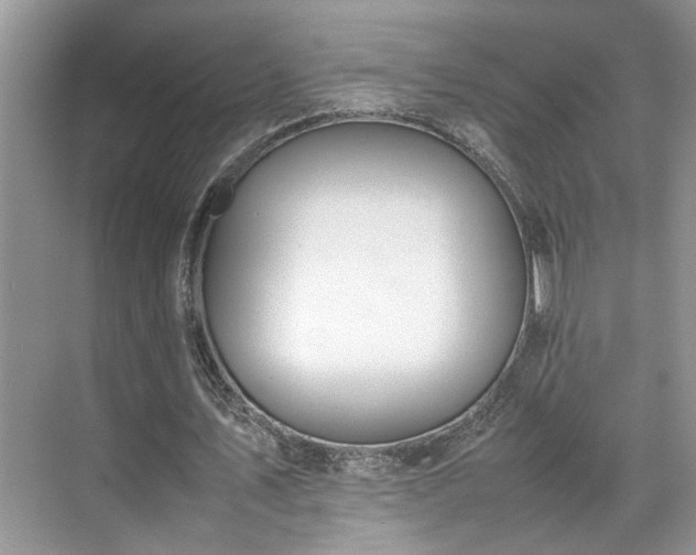 X0000070370579200606121237