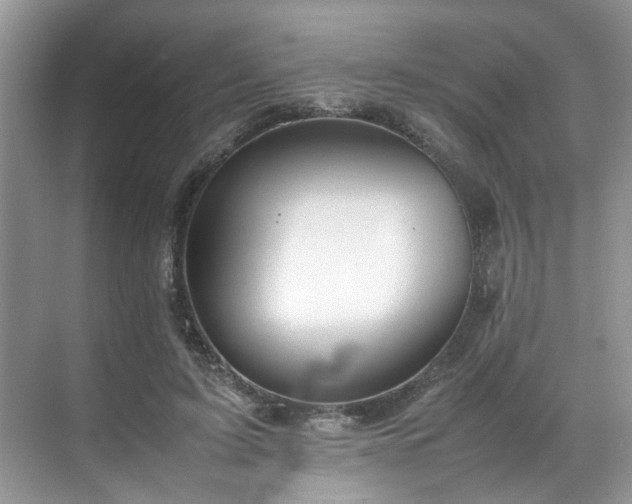 X0000070370595200606121237