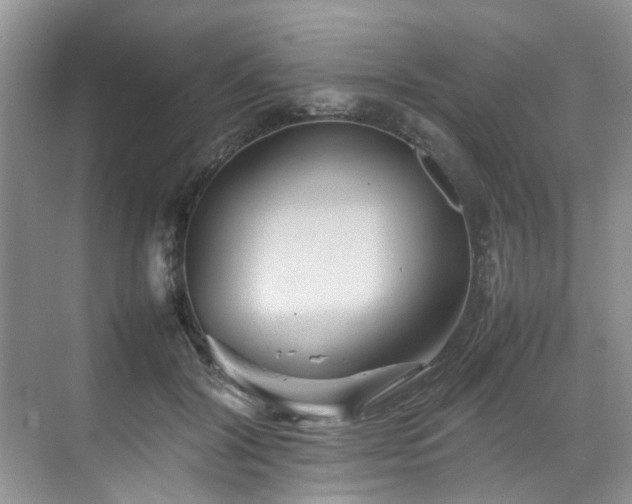 X0000070370604200606121237