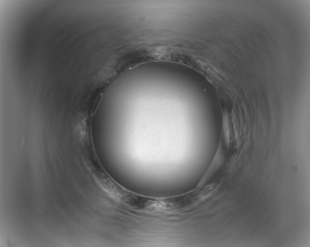 X0000070370611200606121237