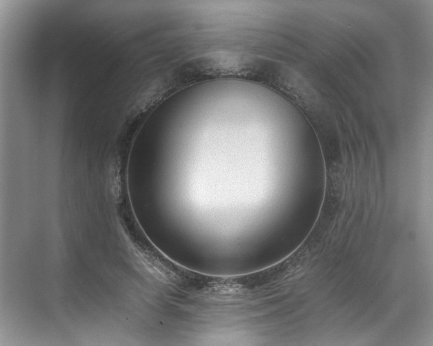 X0000070370642200606121236