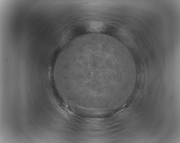 X0000070370647200606121236