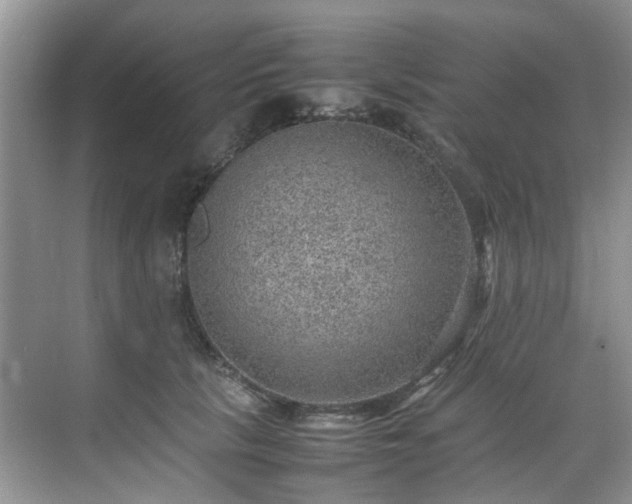 X0000070370657200606121236