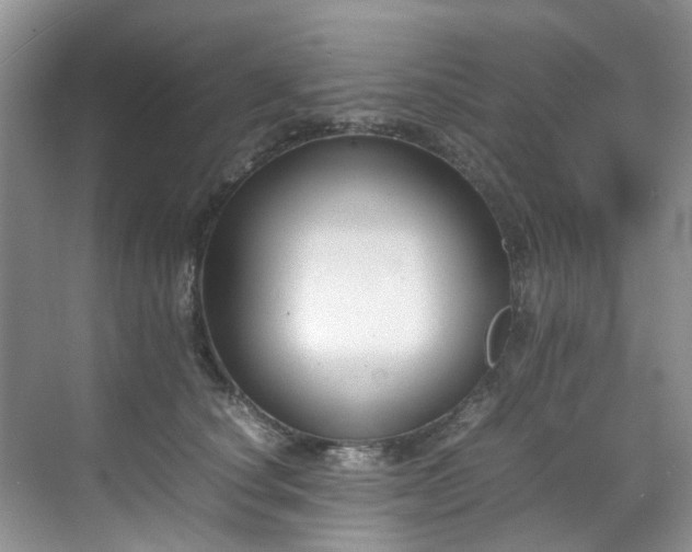 X0000070370660200606121236