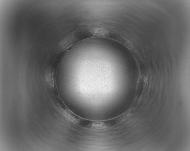 X0000070370666200606121237