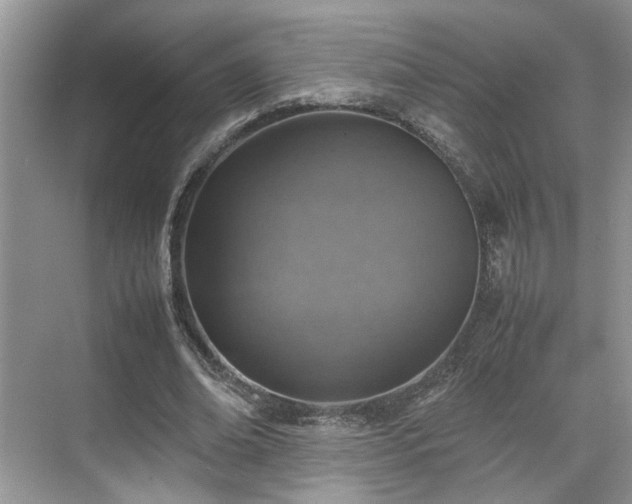 X0000070370678200606121236