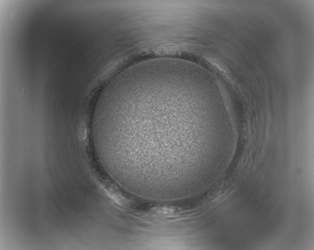 X0000070370687200606121235
