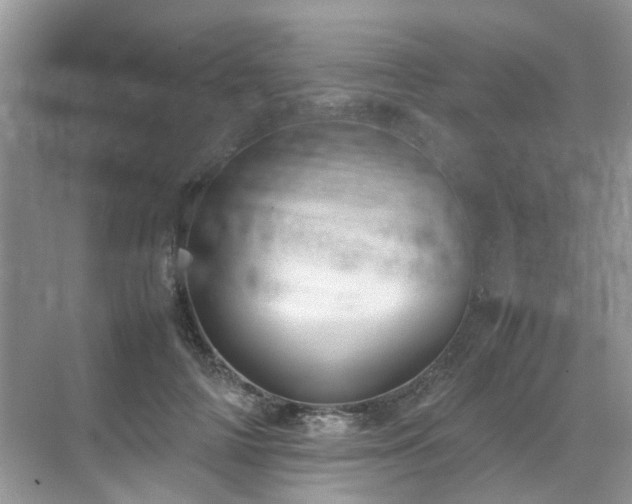 X0000070370698200606121235