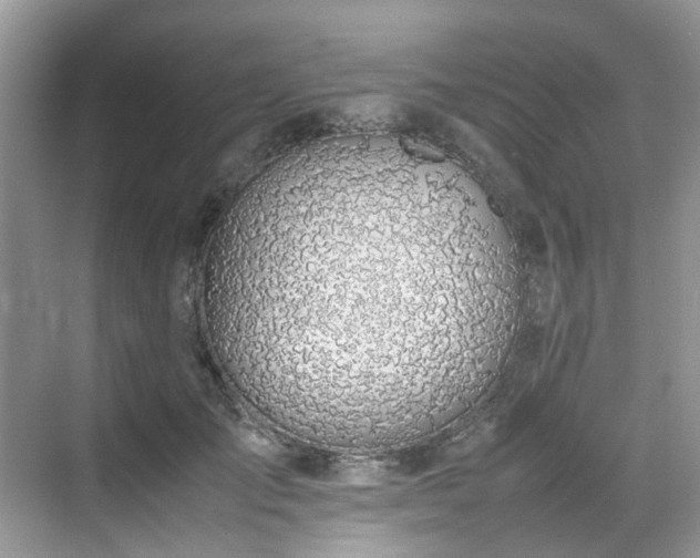 X0000070370701200606121235