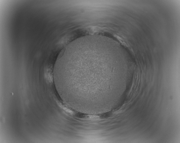 X0000070370719200606121235