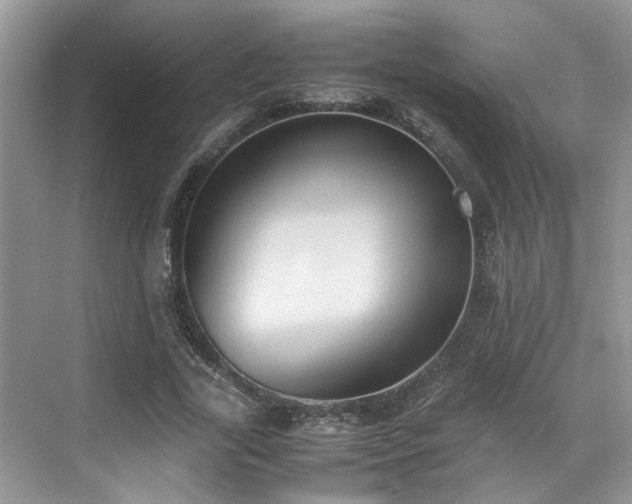 X0000070370731200606121234
