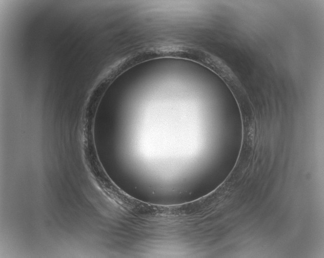 X0000070370732200606121234