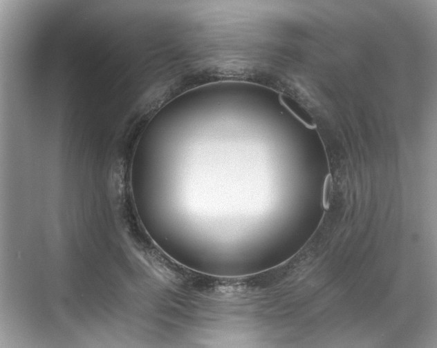 X0000070370744200606121235