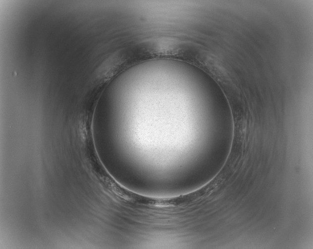 X0000070370746200606121235