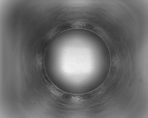 X0000070370753200606121235