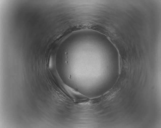 X0000070370818200606121233