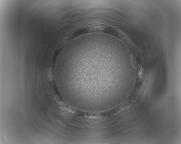 X0000070370819200606121233