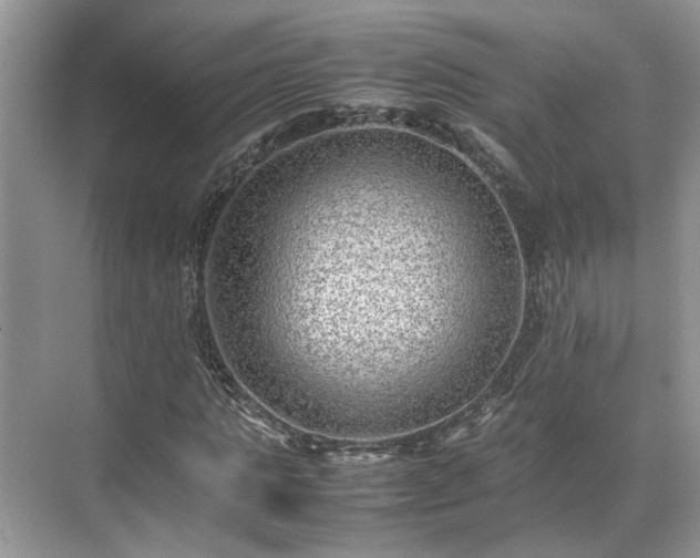 X0000070370821200606121233
