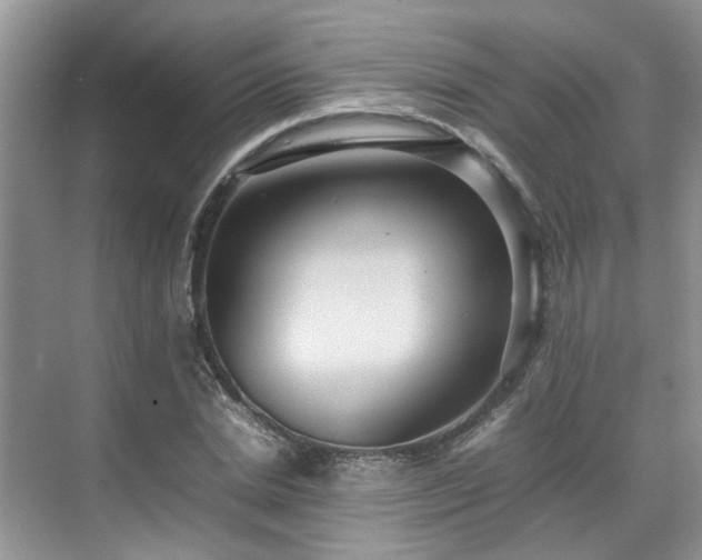 X0000070370830200606121233