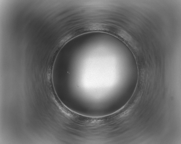 X0000070370841200606121233