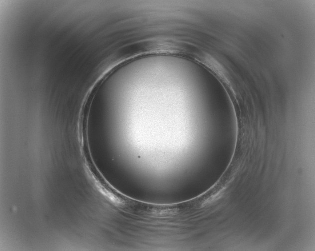 X0000070370843200606121233