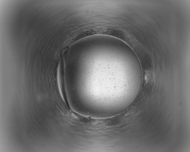 X0000070370867200606121232