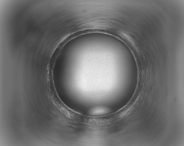 X0000070370875200606121232