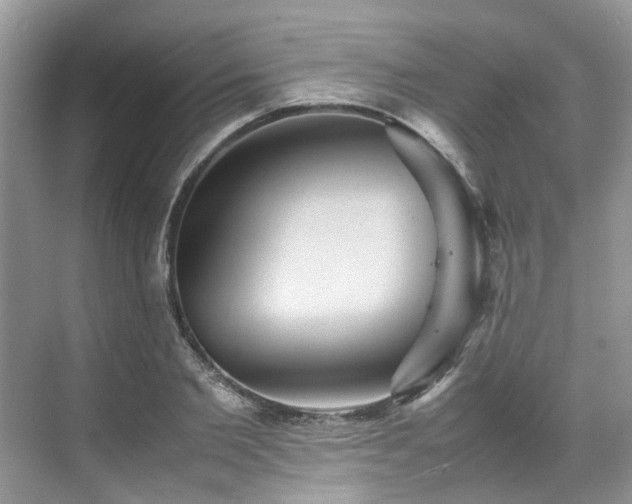X0000070370885200606121232