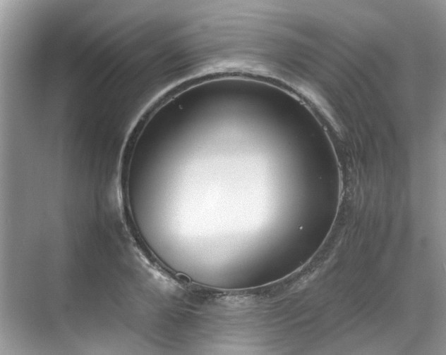 X0000070370888200606121232