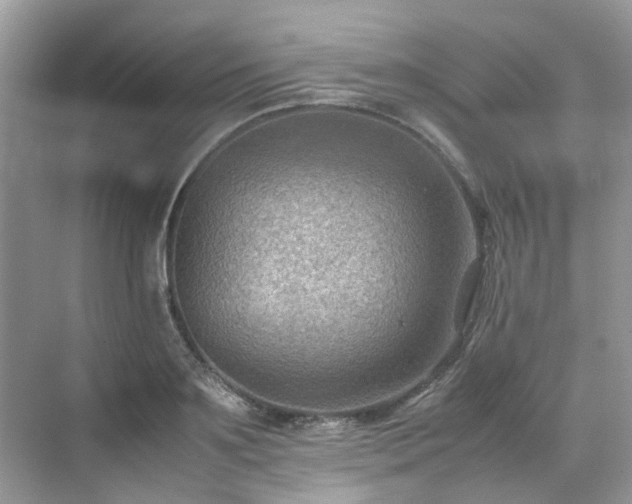 X0000070370891200606121232