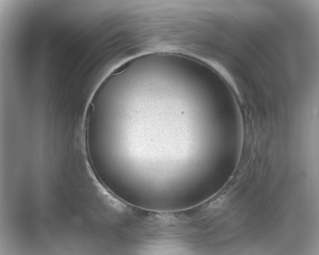 X0000070370911200606121232