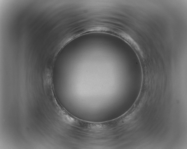 X0000070370945200606121231