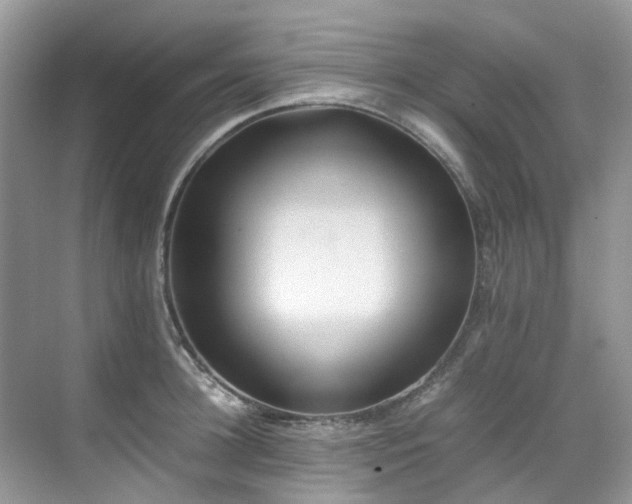 X0000070370948200606121231