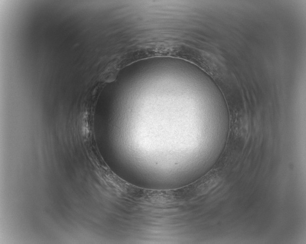 X0000070370962200606121231