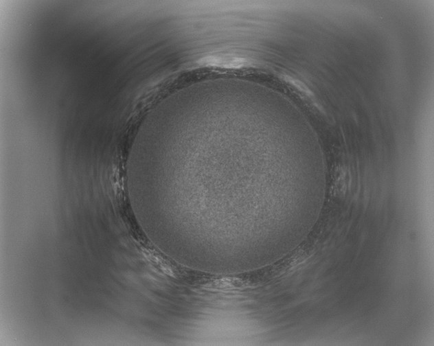 X0000070370966200606121231