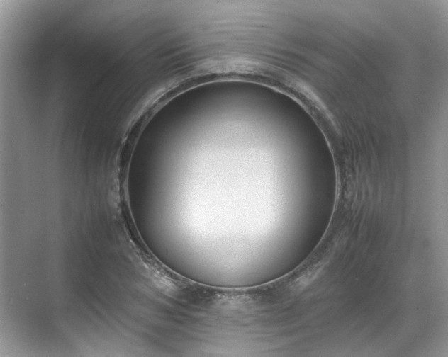 X0000070370978200606121231