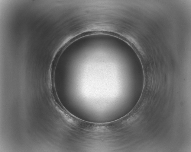 X0000070370982200606121231