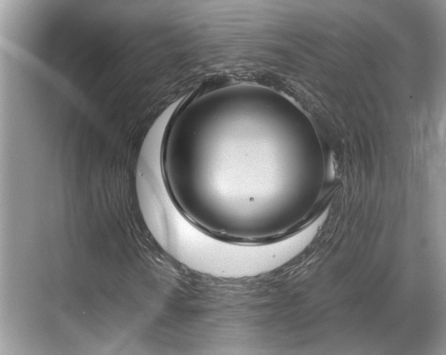 X0000070371010200606121229