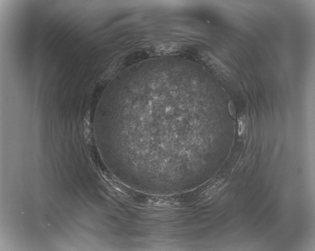 X0000070371011200606121229