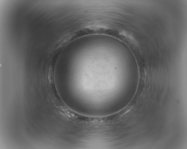 X0000070371014200606121229