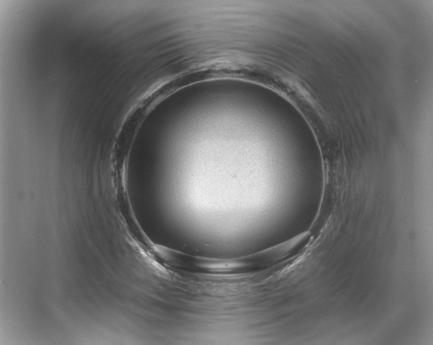 X0000070371018200606121229