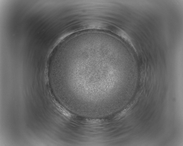 X0000070371019200606121229