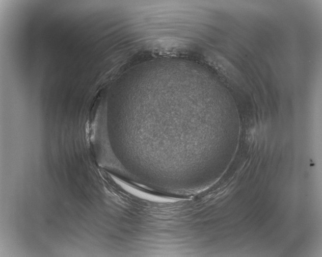 X0000070371060200606121229