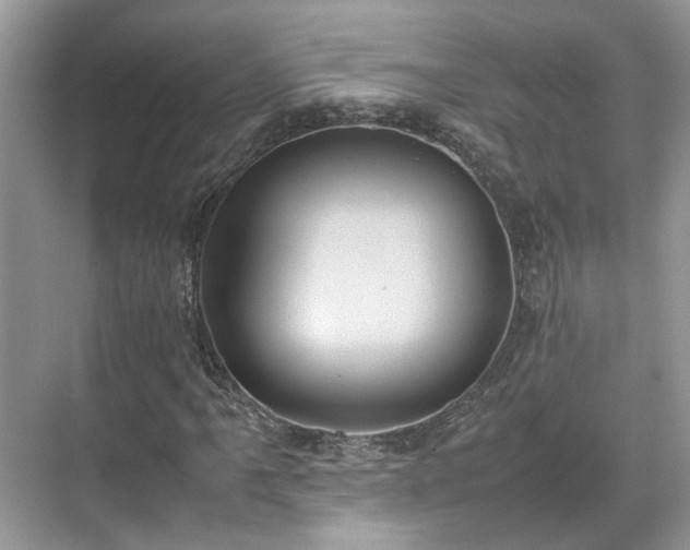 X0000070371061200606121229
